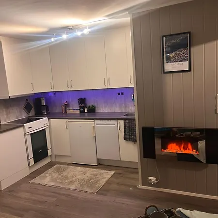 Arctic With Outdoor Jacuzzi 公寓 Tomasjorda