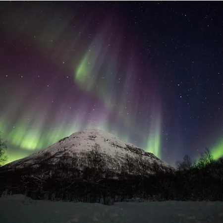 Arctic With Outdoor Jacuzzi *